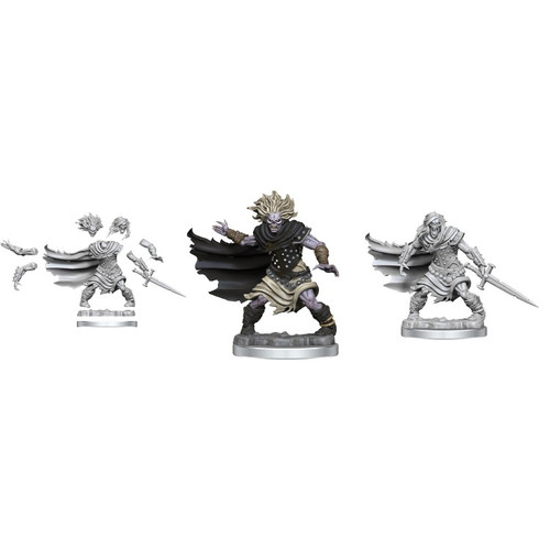 Dungeons & Dragons Miniatures: Frameworks - Wight (Wave 1)