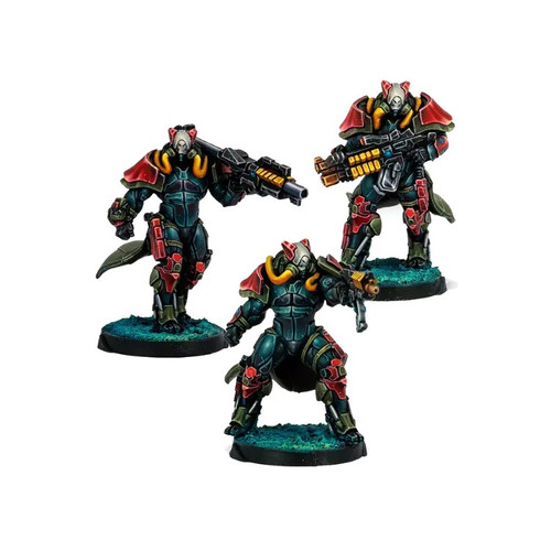 Infinity: Combined Army - Rodoks, Armed Imposition Detachment