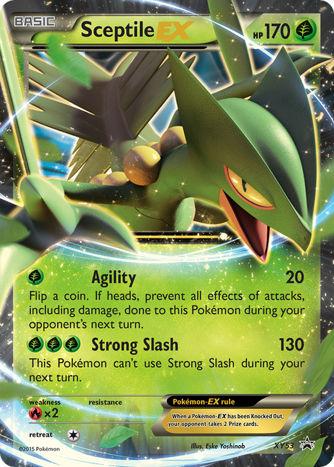 Sceptile-EX XY53/211 - XY Black Star Promos Holofoil