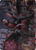 Anje, Maid of Dishonor // Anje, Maid of Dishonor (AVOW-056) - Crimson Vow Art Series (Borderless)