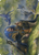 Feywild Trickster // Feywild Trickster (AAFR-070) - Adventures in the Forgotten Realms Art Series (Borderless) Foil