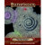 Pathfinder RPG 2nd Edition: Flip-Mat Classics - Arcane Dungeon