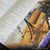 Dungeons & Dragons RPG: Book Tabs - Planescape - Adventures in the Multiverse