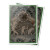 Ultra Pro Sleeves: APEX - Bloomburrow - Season of Weaving (105ct)