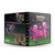 Ultra Pro Portfolio: Pokemon Scarlet & Violet - Shrouded Fable (4-Pocket)