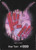 DON!! Card (Katakuri)  Premium Booster -The Best-