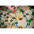 Orleans: Big Box