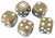 Pavlov's House: Six-Sided D6 Dice Set (United States)