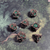 Forged Gaming: Gothic Bouquet Antique Gold Green Metal RPG Dice Set (7ct)