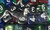 Chessex Dice: Translucent Polyhedral D6 Assorted Limited Edition Bag of Dice (50)