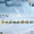 Game of Thrones: Stark Dice Set (8)