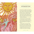 Your First Tarot