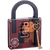 The Einstein Puzzle: Lock Puzzle