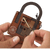 The Einstein Puzzle: Lock Puzzle