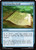 Waterbending Scroll (TLA-081) - Avatar: The Last Airbender Foil