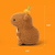 Lil Cheers: Daily Positivity Crochet Plush - Capybara