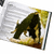 The Wildsea RPG