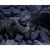 Godzilla vs Destoroyah: Godzilla Jr. & Destoroyah Evolution Set TAMASHII NATIONS S.H.MonsterArts Figures (PREORDER)