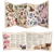 The Field Guide To Floral Dragons: GM Screen 5e D&D