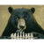 Chess Bear: Mini Puzzle (100pcs) (Add to cart to see price)
