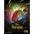 The Brain