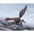Godzilla vs Megaguirus: Megaguirus Evolution Set TAMASHII NATIONS S.H.MonsterArts Action Figure