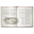 The Lord of the Rings RPG: Trials of Saruman (5E) (PREORDER)