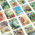 Meadow