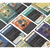 Root RPG: Deck of Denizens