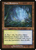 Misty Rainforest (MH2-438) - Modern Horizons 2 Foil