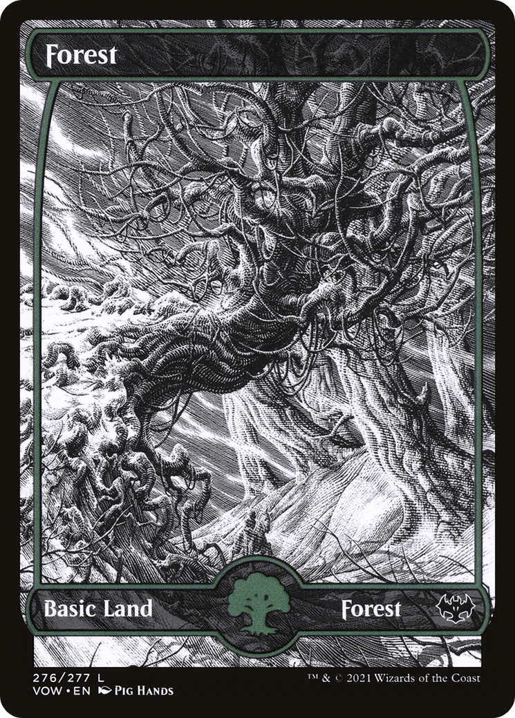 Forest (VOW-276) - Innistrad: Crimson Vow: (Showcase) Foil - Game Nerdz