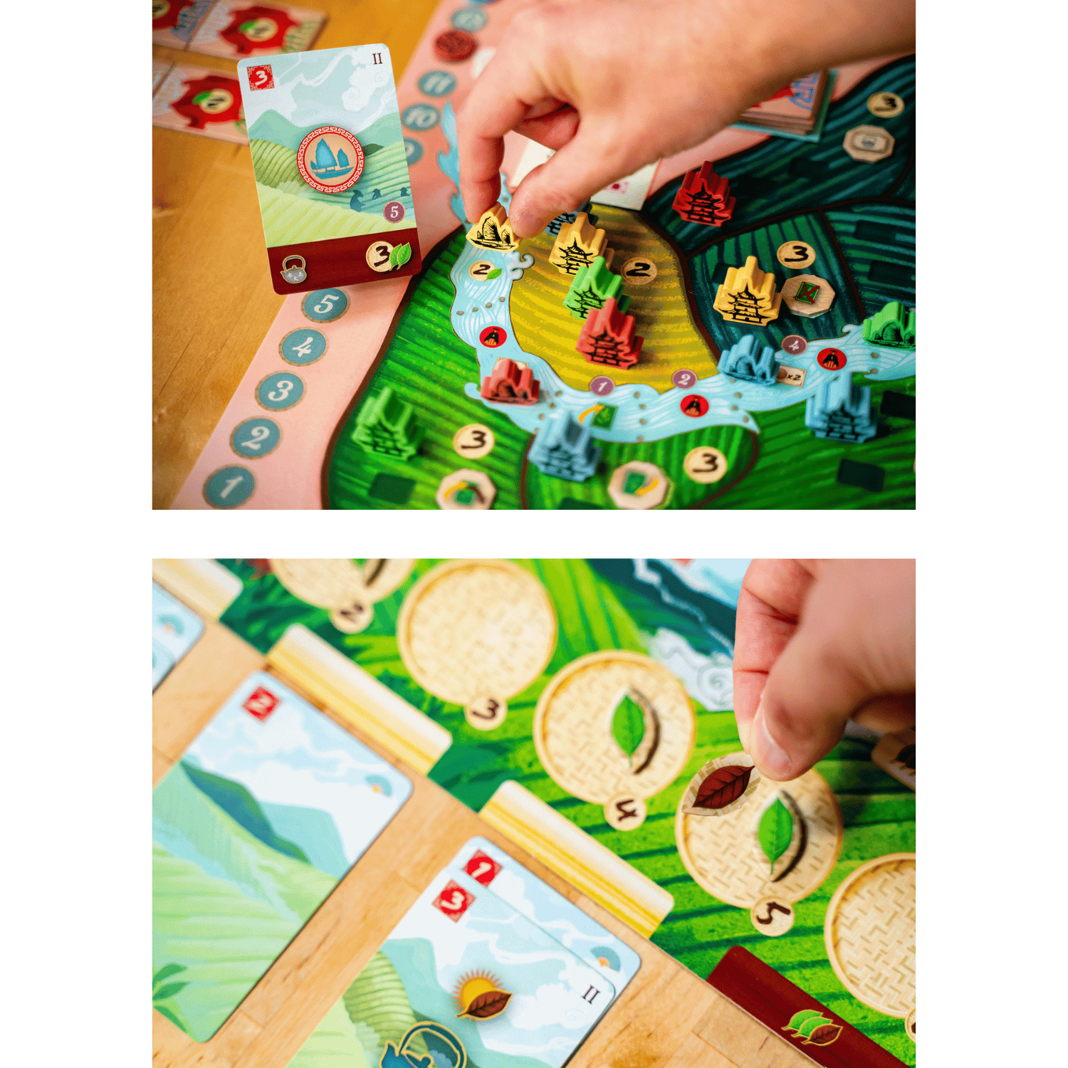 Tea Garden - Game Nerdz