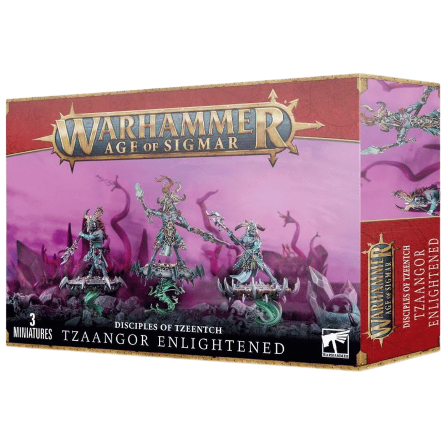 warhammer Disciples of Tzeentch ジャンクセット warhammer Disciples of Tzeentch ジャンクセット Age of Sigmar