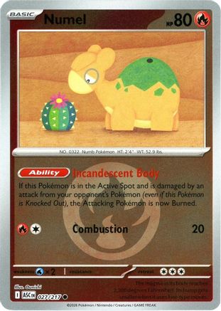 Numel - 027/217 (Energy Symbol Pattern) 27 - ME Ascended Heroes Reverse  Holofoil - Game Nerdz