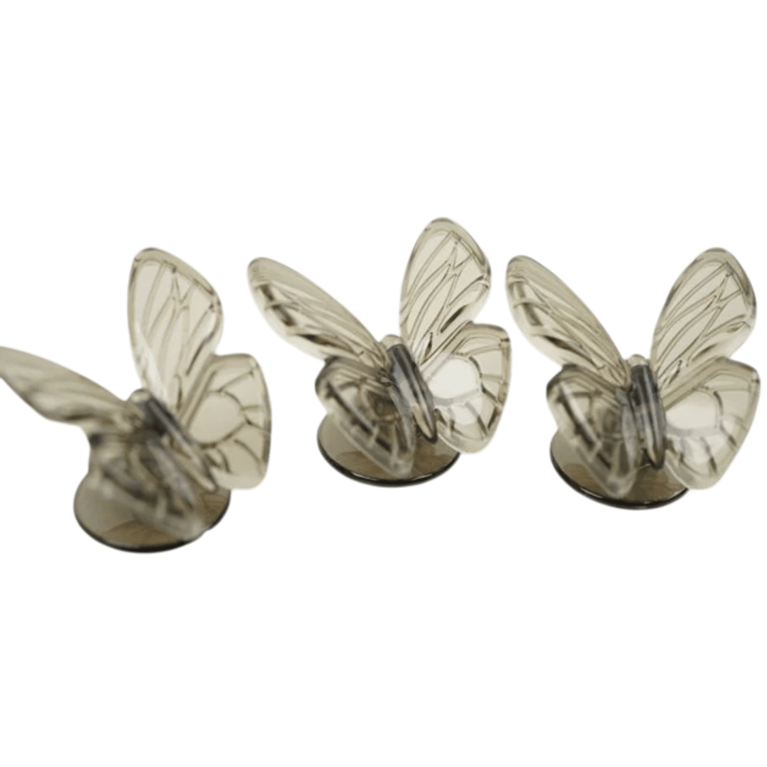 Butterfly Garden: Invasive Butterflies Promo - Game Nerdz