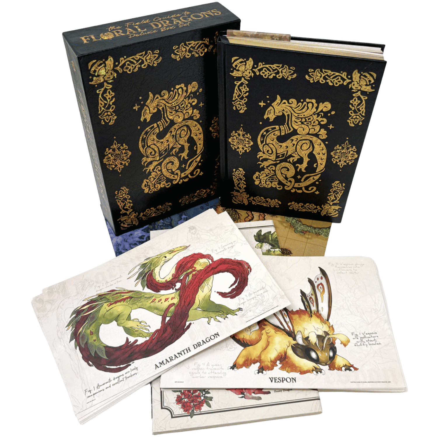 The Field Guide To Floral Dragons: Flower Dragon Bestiary - 5e D&D