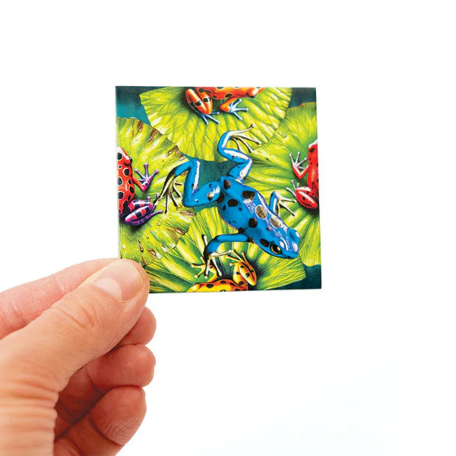 Magic Square Puzzle: Frogs (25pcs) - Game Nerdz