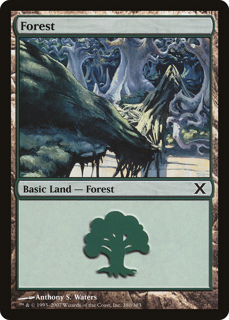 Forest (10E-380) - Tenth Edition - Game Nerdz