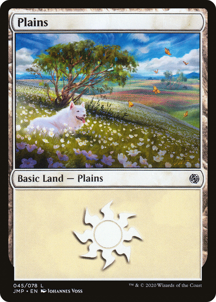 MTG SLD Plains 平地 1399 foil PSA10 PSA10 MTG Magic the Gathering Plains 1399 SLD Foil English