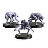 The Witcher RPG: Grave Hag - Necrophages 3 - Miniatures