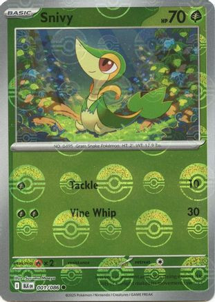 fennel pokemon card Fennel #162 Prices | Pokemon Black Bolt