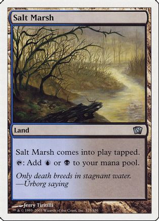 Salt Marsh (8ED-325) - 8th Edition、Wizards of the Coast、kayou