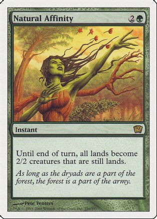 Natural Affinity (9ED-256) - 9th Edition、Wizards of the Coast、kayou