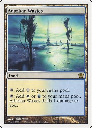 Adarkar Wastes (9ED-317) - 9th Edition、Wizards of the Coast、kayou