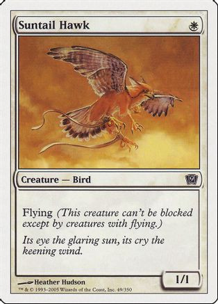 Suntail Hawk (9ED-049) - 9th Edition Foil、Wizards of the Coast、kayou