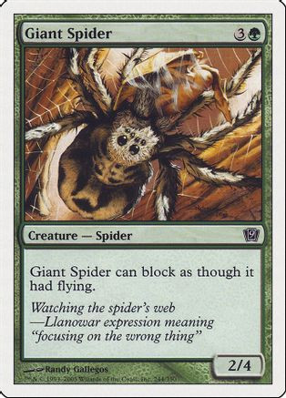 Giant Spider (9ED-244) - 9th Edition、Wizards of the Coast、kayou