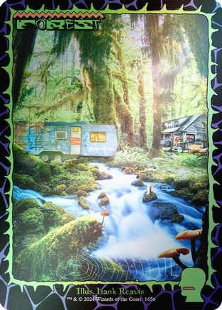 Forest (1656) (Rainbow Foil) (SLD-1656) - Secret Lair Drop Series Foil、Wizards of the Coast、kayou