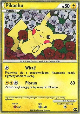 Pikachu (Polish) PW - Pikachu World Collection Promos Holofoil、The Pokémon Company、kayou