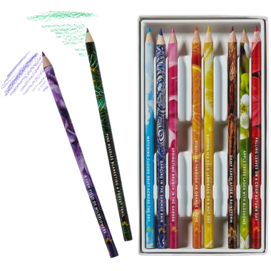 Lifelines: Rub & Sniff Scented Colored Pencils - 10-Pack (Classic Palette)、Lifelines、kayou
