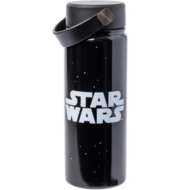 Star Wars: Logo & Stars - Stainless Steel Water Bottle w/Swivel Handle (20oz)、Silver Buffalo、kayou